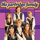 The Partridge Family: Diary of a Mad Millionaire